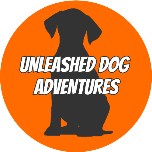 Unleashed-Dog-Adventures-Salisbury